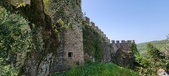 Enlarge photo 381