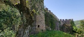 Enlarge photo 382