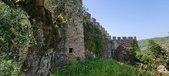 Enlarge photo 383