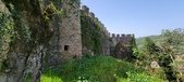 Enlarge photo 384