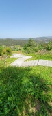 Enlarge photo 385