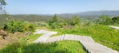 Enlarge photo 386