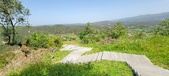 Enlarge photo 387