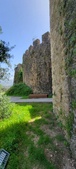 Enlarge photo 390