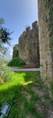 Enlarge photo 391