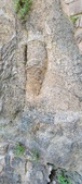 Enlarge photo 394