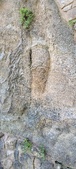 Enlarge photo 395