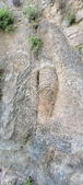 Enlarge photo 396