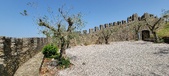 Enlarge photo 413