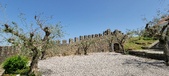 Enlarge photo 414