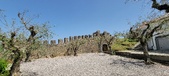 Enlarge photo 415