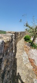 Enlarge photo 417