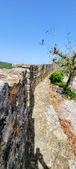Enlarge photo 418