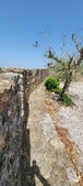 Enlarge photo 419