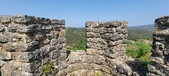 Enlarge photo 422
