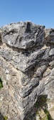 Enlarge photo 424