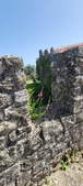 Enlarge photo 427