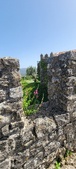 Enlarge photo 428