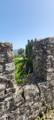 Enlarge photo 429