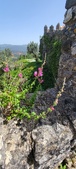 Enlarge photo 430