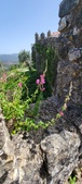 Enlarge photo 431