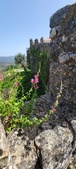 Enlarge photo 432