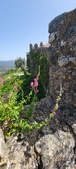 Enlarge photo 433