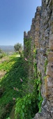 Enlarge photo 434