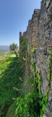 Enlarge photo 435