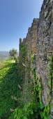 Enlarge photo 436