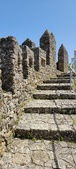 Enlarge photo 445