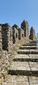 Enlarge photo 444