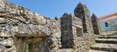 Enlarge photo 446