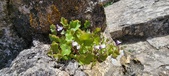 Enlarge photo 449
