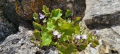 Enlarge photo 450