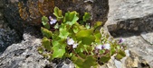 Enlarge photo 451