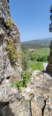 Enlarge photo 452