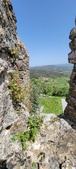 Enlarge photo 453