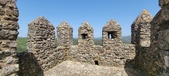 Enlarge photo 455
