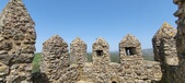 Enlarge photo 457