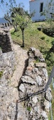 Enlarge photo 459