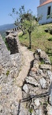 Enlarge photo 460