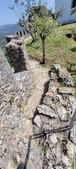 Enlarge photo 461
