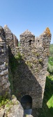 Enlarge photo 462