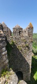 Enlarge photo 463