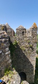 Enlarge photo 464