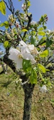 Enlarge photo 465