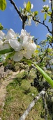 Enlarge photo 466