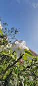 Enlarge photo 467