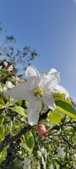 Enlarge photo 468